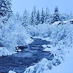 Brugg